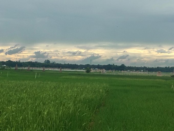 A green field with tall grass in the foreground, a line of trees and a body of water in the middle distance, and a dramatic cloudy sky overhead at dusk.