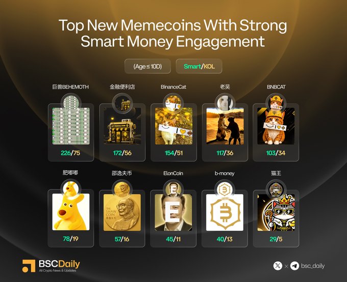 The image is a promotional graphic from BSC Daily titled "Top New Memecoins With Strong Smart Money Engagement," displaying ten cryptocurrency tokens—including 巨兽BEHEMOTH (224/75), 金融便利店 (172/56), BinanceCat (154/51), 老吴 (117/36), BNBCAT (103/34), 肥嘟嘟 (78/19), 邵逸夫币 (57/16), ElonCoin (45/11), b-money (40/13), and 猫王 (29/5)—each with two engagement metrics in their respective icons, filtered by "Age ≤ 10D" and "Smart/KOL" categories.