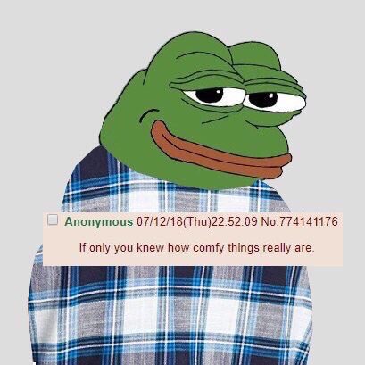 An edited image of Pepe the Frog wearing a blue plaid shirt, with an anonymous text overlay reading 'If only you knew how comfy things really are' dated 07/12/18.