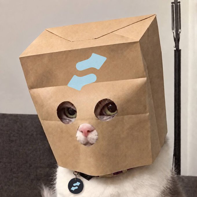A white cat peers through two cut-out eye holes and a small nose hole in a brown paper bag, which features light blue paw-shaped markings on its front, while wearing a black collar with a tag bearing a blue "S" logo (likely StonkFun), visually embodying the post's announcement that over $1,000,000 worth of ZEC has been distributed to ZCAT (Zcash Cat) holders via StonkFun.