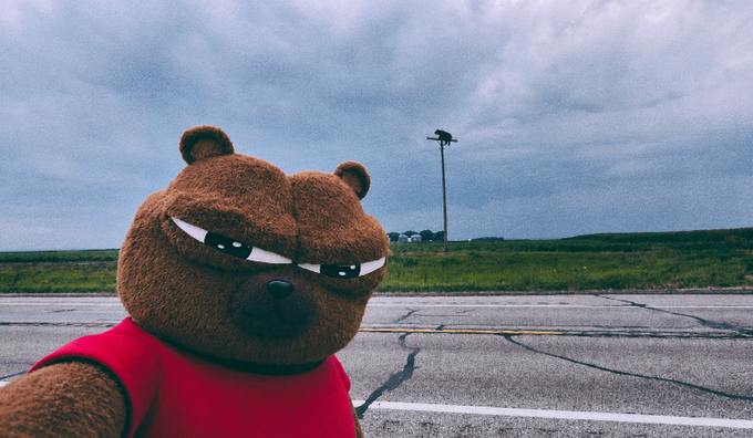 A grumpy-looking brown teddy bear character wearing a red shirt taking a selfie on an empty road with green fields and a cloudy sky in the background.