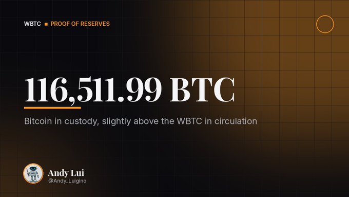 A 'WBTC PROOF OF RESERVES' graphic showing '116,511.99 BTC' with the text 'Bitcoin in custody, slightly above the WBTC in circulation' by Andy Lui (@Andy_Luigino).