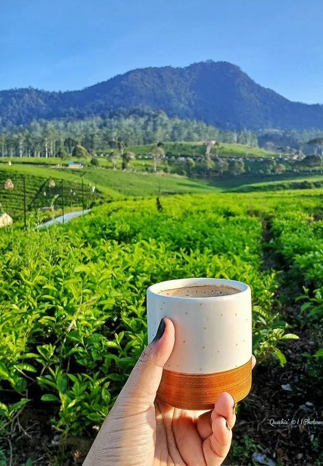 The image features a hand holding a cup of coffee, with mountains visible in the background. The caption reads "good morning show up do your best repeat @quipnetwork → preparing for tomorrow starts today $QUIP". This suggests that the person is enjoying their coffee and possibly watching or listening to a morning show on television.
