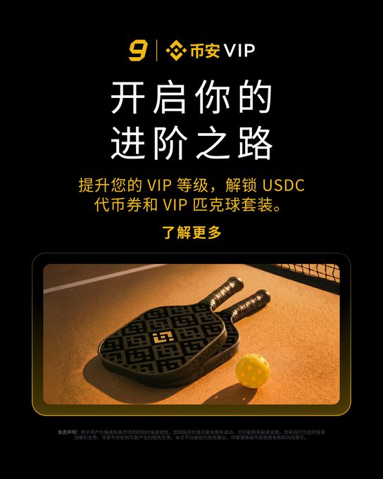 A Binance VIP promotional banner in Chinese reading '开启你的进阶之路' (Start Your Path to Advancement), offering USDC vouchers and a VIP pickleball set for upgrading VIP levels.