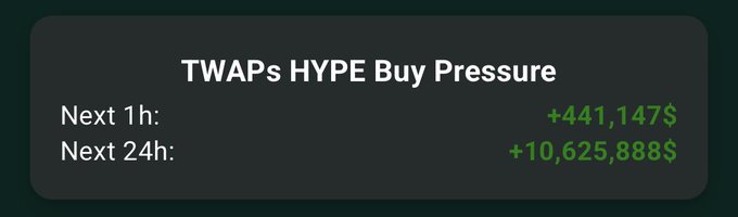 The image shows a screenshot of a website called "twaps.hypedbk". There are two lines of text, one above the other, which reads "Next 1 hour: Next 24 hours: TWAPs Hype Buy Pressure". The background color is black and white.