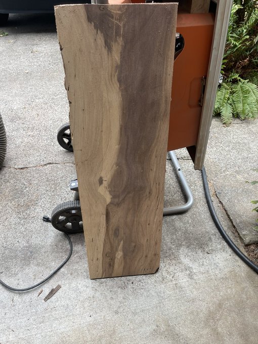 A large slab of live-edge wood with rich brown grain patterns leans upright on a concrete surface next to an orange wheeled cart, with a power cord and green plants visible in the background.