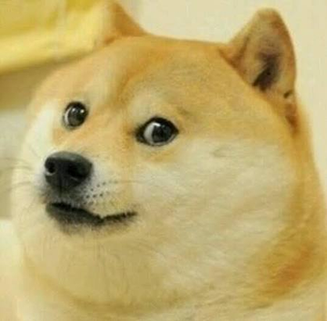 A close-up of a Shiba Inu dog (the breed behind the Doge meme) with a quirky, attentive expression, fittingly paired with a question about using $DOGE cryptocurrency for X subscriptions.
