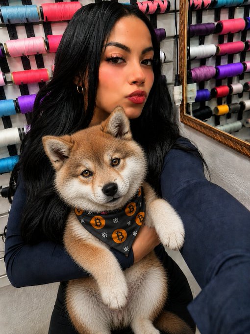 The image features a woman holding a small brown dog, both of them posing for a photo. The background includes a wall with colorful spools of thread hanging from it, adding an artistic touch to the scene. The caption of the image reads "Hi What a truly breathtaking view... I can barely look away Stunning as always. May your weekend be as wild and dangerous as that look $LOBO AWOOOOO Good night under this beautiful moon Memecoin on Bitcoin will live forever ONCHAIN Hold conviction." This message seems to be related to the woman's love for her dog, possibly expressing how much she cherishes their time together or how important their bond is.

The image also contains a reference to Bitcoin and the phrase "Good night under this beautiful moon Memecoin on Bitcoin will live forever ONCHAIN Hold conviction." This could potentially be an advertisement or a social media post promoting Bitcoin, but it's unclear if that's the case from the image alone.
