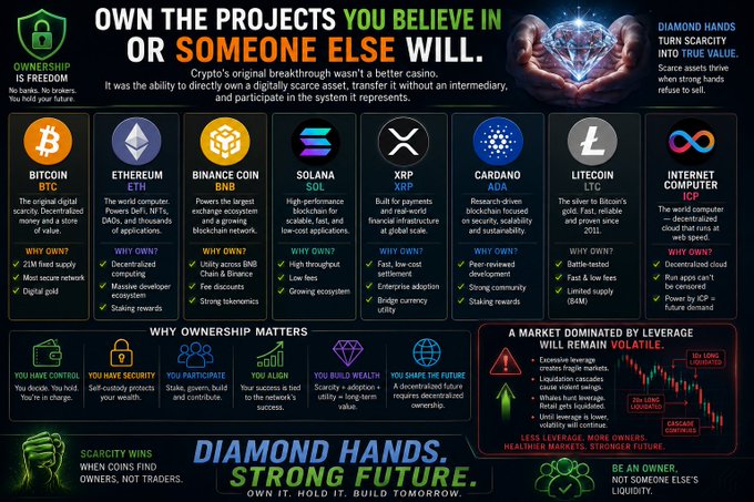 An infographic titled "OWN THE PROJECTS YOU BELIEVE IN OR SOMEONE ELSE WILL" comparing cryptocurrencies including Bitcoin (BTC), Ethereum (ETH), Binance Coin (BNB), Solana (SOL), XRP, Cardano (ADA), Litecoin (LTC), and Internet Computer (ICP), with the slogan "DIAMOND HANDS. STRONG FUTURE."
