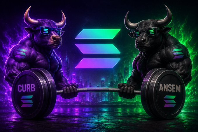 Two muscular bulls wearing sunglasses face off in a weightlifting showdown, each gripping one end of a barbell loaded with plates labeled "CURB" and "ANSEM," with the Solana logo prominently displayed between them — visually symbolizing the "Solana Bull barbell portfolio" strategy combining $CURB, $SOL, and $ANSEM as opposing but complementary heavyweights.