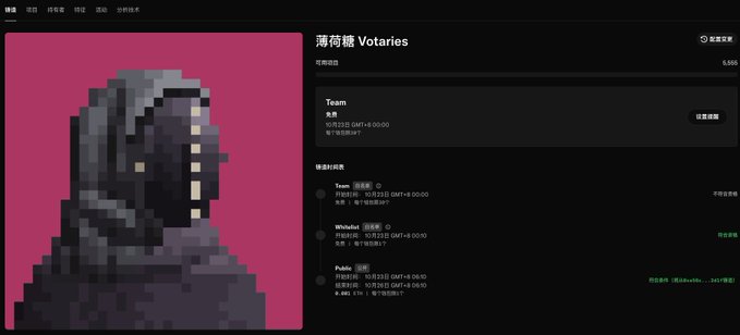 A dark portfolio-style webpage titled “潮码集 Votaries” shows a pixel-art hooded figure on a magenta background and a schedule list including Team, shOtod, and Public.
