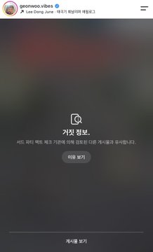 A screenshot of an Instagram story from user "geonwoo.vibes" displaying a "가짜 정보" (False Information) warning screen in Korean, which appears to be related to the post's content about a fact-checking agency labeling the gathering of tens of thousands of citizens at Gwanghwamun last year as false information.