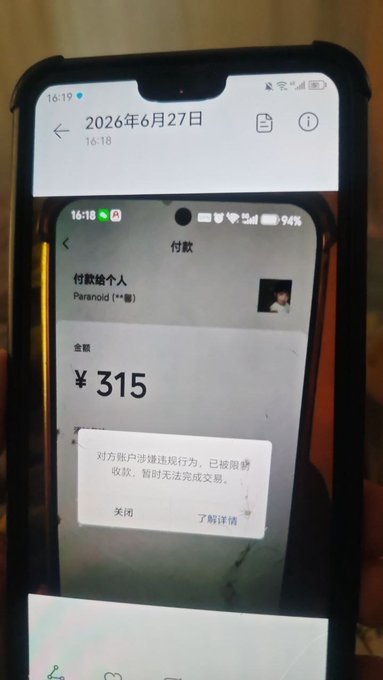 A smartphone screen displays a Chinese payment app (付款) showing a failed transaction attempt of ¥315 to a user named "Paranoid," with an error message indicating the recipient's account has been flagged for violations and temporarily cannot receive payments. The image visually supports the post's claim that WeChat Pay and Alipay have been suspended, as the phone itself demonstrates the resulting risk-control (风控) restrictions blocking transfers.