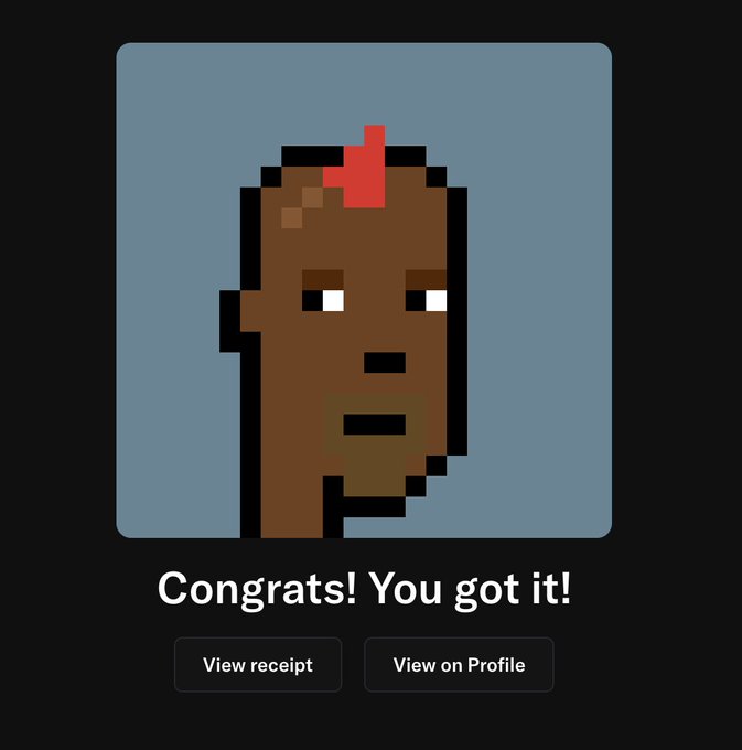 A pixel art illustration features a stylized brown face with a red mark on the forehead and half-closed eyes, displayed above the text 'Congrats! You got it!' with 'View receipt' and 'View on Profile' buttons.
