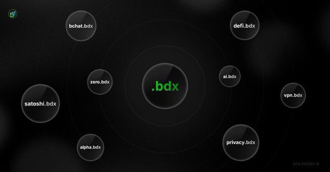 A dark-themed infographic shows the .bdx ecosystem, with a central .bdx logo surrounded by orbiting bubble icons labeled bchat.bdx, defi.bdx, ai.bdx, vpn.bdx, privacy.bdx, alpha.bdx, satoshi.bdx, and zero.bdx, with "pin.beldex.io" in the corner.
