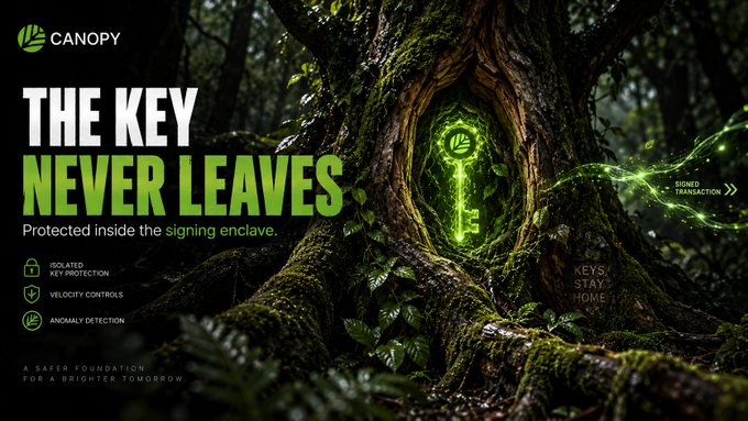 An advertisement for "CANOPY" featuring a glowing green key inside a tree hollow, with the text "THE KEY NEVER LEAVES - Protected inside the signing enclave," listing features like "ISOLATED KEY PROTECTION," "VELOCITY CONTROLS," and "ANOMALY DETECTION."