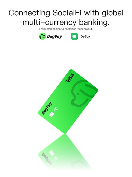 A promotional graphic reads 'Connecting SocialFi with global multi-currency banking. From stablecoins to seamless local payout.' featuring DogPay and DeBox logos above a green DogPay Visa card.