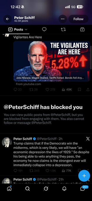 A mobile Twitter/X profile for Peter Schiff shows a video post titled 'THE VIGILANTES ARE HERE' with a 5.28% economic indicator, followed by a message '@PeterSchiff has blocked you'.