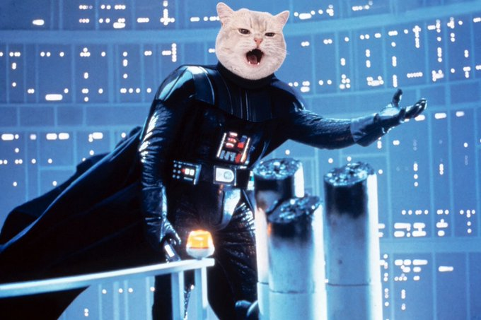 A digitally edited meme shows a white cat's head superimposed onto Darth Vader's body from *The Empire Strikes Back*, with Vader standing on the Death Star platform with his arm outstretched in a commanding pose. The image humorously represents the "Commander-in-Chief of Robinhood," aligning with the provided wallet address (CA: 0x56fa3670e19396c4ee8f7775b49ceaede04a84ef) as a playful nod to a meme-driven crypto project.