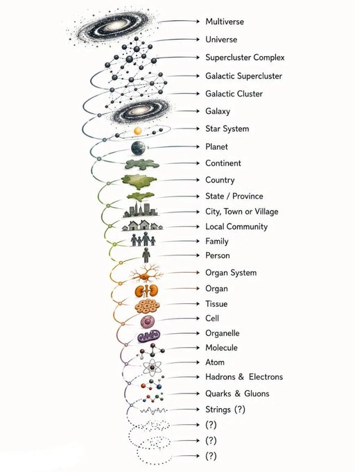 The image is a vertical scale-of-universe diagram labeling hierarchies from "Multiverse," "Universe," and "Galaxy" down through "Planet," "Continent," "Country," and "Person," and into the biological and physical realms—Organ System, Organ, Tissue, Cell, Organelle, Molecule, Atom, Hadrons & Electrons, Quarks & Gluons, Strings (?), and three unknown levels (?). 

The post's question—"Where would you input consciousness in this scaling law?"—highlights the diagram's omission: consciousness has no labeled slot, suggesting it may either emerge at the "Person" level or transcend the entire nested hierarchy.