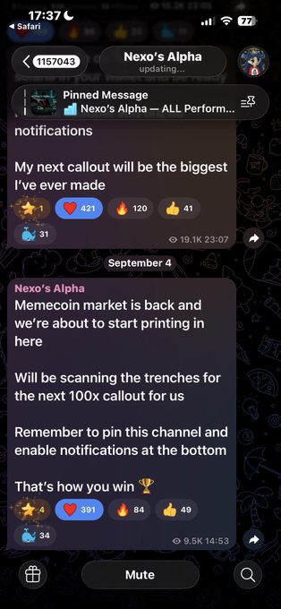 A mobile screenshot of a Telegram channel called 'Nexo's Alpha' showing pinned messages with the latest reading 'Memecoin market is back and we're about to start printing in here' and an earlier post about 'My next callout will be the biggest I've ever made,' with engagement metrics visible.