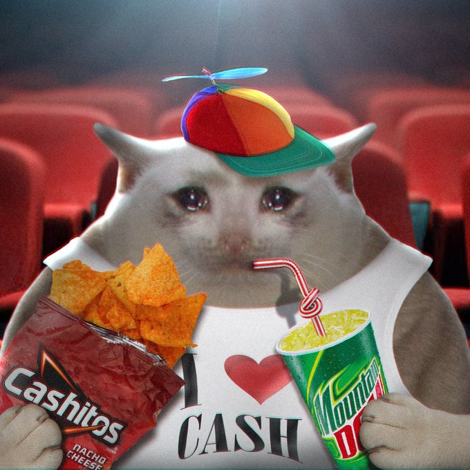 A cat wearing a propeller hat and "I ❤️ CASH" tank top holds a bag of Cashitos nacho cheese chips and a Mountain Dew soda while sipping through a straw in a movie theater setting, visually representing the "$CASHCAT" meme coin referenced in the post with the caption "gmeow."