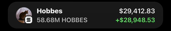 A wallet/portfolio widget showing a cat avatar for "Hobbes" with a balance of $29,412.83, holding 58.68M HOBBES tokens with a gain of +$28,948.53.
