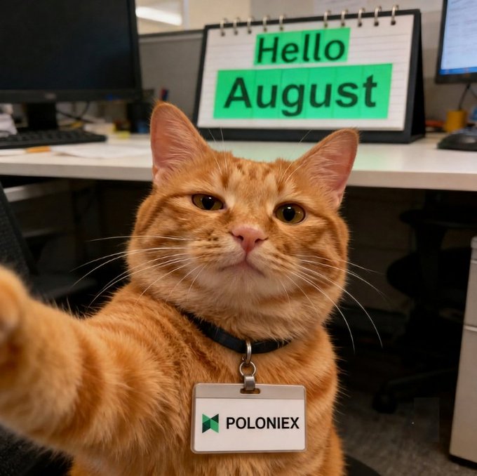 An orange cat wearing a "POLONIEX" badge reaches toward the camera in an office setting, with a calendar reading "Hello August" behind it.