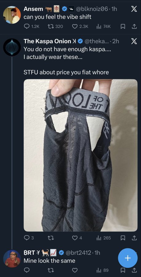 A screenshot of X (Twitter) posts including one from @blknoiz06 asking 'can you feel the vibe shift' and a reply from @theka... showing a torn Under Armour garment with the caption 'You do not have enough kaspa.... I actually wear these... STFU about price you fiat whore'.