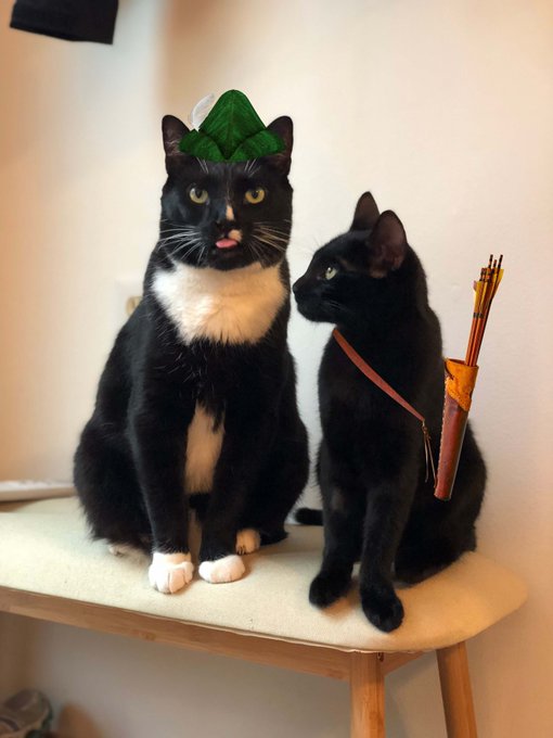 Two cats are dressed up in costumes, with the tuxedo cat on the left wearing a green leaf hat and the black cat on the right equipped with a brown quiver full of arrows, resembling an archer and Robin Hood.