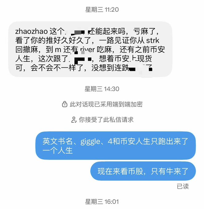 A Chinese text conversation screenshot from Wednesday 11:20 to 16:01 discussing cryptocurrency investments involving 'strk', 'river', and '市安人生' tokens, mentioning losses and market conditions.
