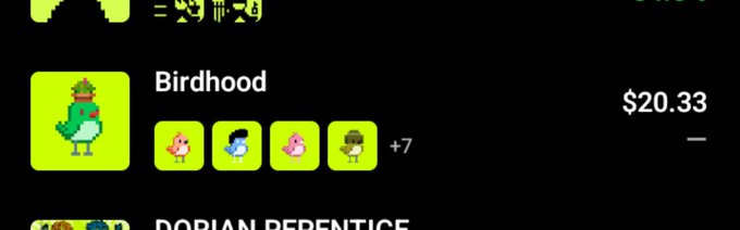 A screenshot showing an item named 'Birdhood' priced at $20.33, featuring a green character icon and small bird icons indicating +7.