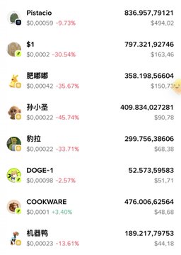 A cryptocurrency price list displays various meme coins including Pistacio ($0.00059, -9.73%), $1 ($0.0002, -30.54%), DOGE-1 ($0.00098, -2.57%), and COOKWARE ($0.0001, +3.40%).