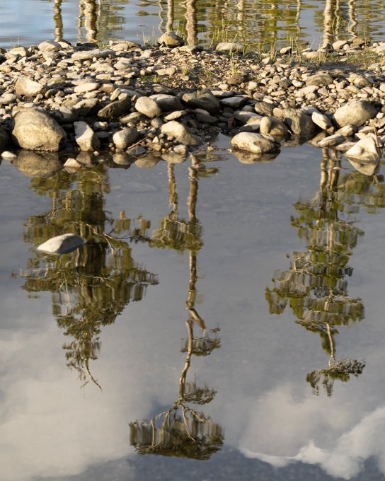 A tranquil photograph of a rocky shoreline, where the calm water creates a clear mirror reflection of the stones, sparse vegetation, and the sky with scattered clouds above.
