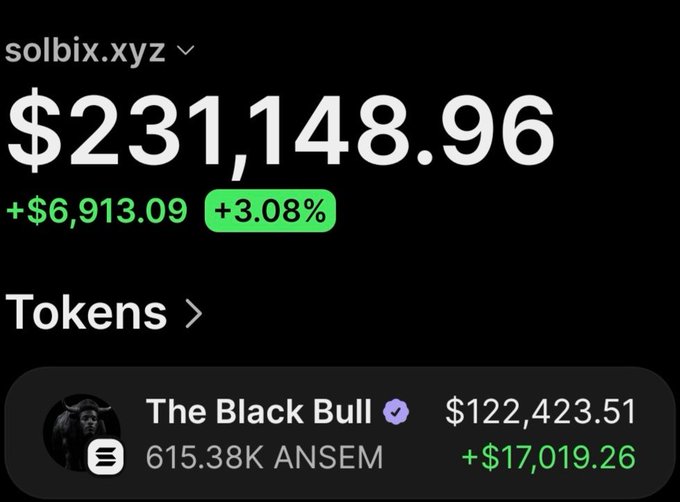 A screenshot from solbix.xyz showing portfolio balance of $231,148.96 (+3.08%), with a primary holding of $122,423.51 in "The Black Bull" (615.38K AnSem tokens) up $17,019.26, visually illustrating the post's claim of turning a $15,500 investment into substantial profit.