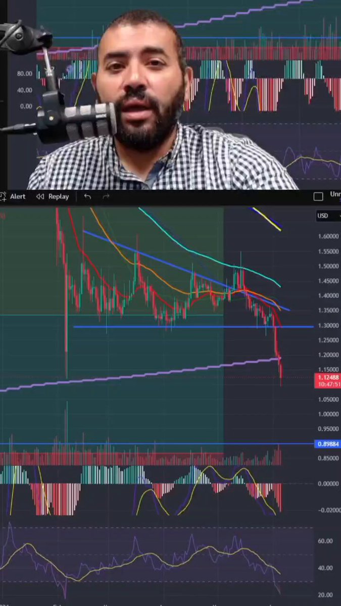 The image shows a man wearing a plaid shirt, talking into a microphone while looking at a computer screen displaying a graph of stock prices for Ripple cryptocurrency. The man appears to be discussing the current state of Ripple's stock price or analyzing its performance on the market.