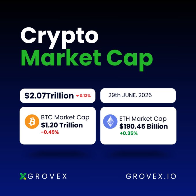 A dark blue crypto market infographic from GroveX dated June 29th, 2026, showing a total market cap of $2.07 Trillion (-0.13%), with Bitcoin at $1.20 Trillion (-0.49%) and Ethereum at $190.45 Billion (+0.35%). The image directly visualizes the accompanying post's data, illustrating the mixed market signals with BTC in red (slight pullback) and ETH in green (modest gain).