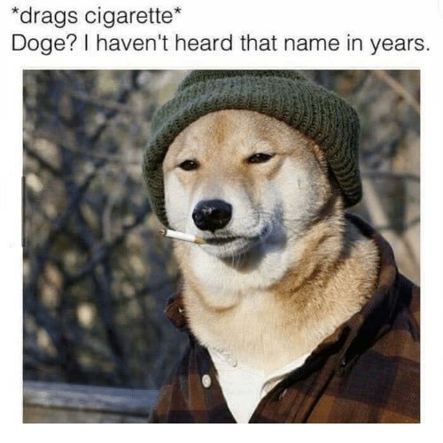 A meme featuring a Shiba Inu dog wearing a green beanie and plaid jacket with a cigarette in its mouth, accompanied by text reading '*drags cigarette* Doge? I haven't heard that name in years.'