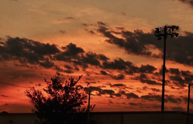 The image features a sunset with orange clouds, casting an orange glow over the sky. In the foreground of the photo, there are two trees - one tall and thin, and another shorter and wider. The sky behind these trees has a beautiful orange hue that contrasts with the dark silhouettes of the trees against it. The sun is setting in the background, creating a warm and inviting atmosphere.