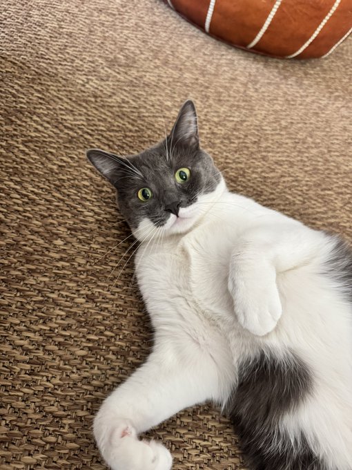 A white and gray cat with green eyes lies on its back on a woven mat, looking up toward the camera with paws relaxed.