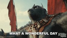 The image features a cartoon depiction of a gorilla wearing a red cape, standing against a blue sky with clouds. The caption below the image reads "What a wonderful day" followed by an explanation about the post's content.