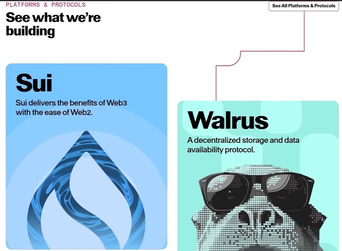 The image features a poster for two projects named "Sui" and "Walrus". The poster includes a blue and white logo with an arrow pointing towards the word "Walrus", indicating that this project is related to the Walrus Protocol. The text on the poster states that these projects are about building platforms, which implies they might be related to web development or other technology-related fields.