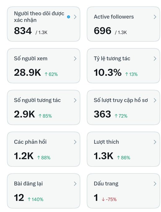 A social media analytics dashboard in Vietnamese showing 834 confirmed followers (out of 1.3K), 28.9K profile views (+62%), 2.9K interactions (+85%), and a 10.3% engagement rate (+13%).
