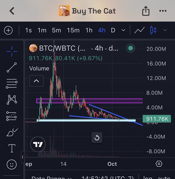 The image shows a 4-hour BTC/WBTC trading chart on TradingView with the title "Buy The Cat," displaying a current price of 911.76K (up 9.67%), volume bars, and technical analysis drawings including support/resistance zones and a downward trendline, illustrating the post's claim about the "Buy The Cat" meme coin reaching a ~$700K market cap on its uptrend.