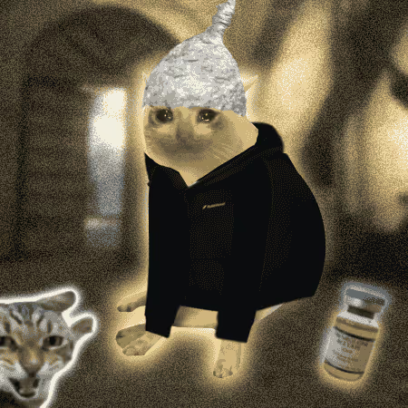 A surreal, grainy image of a cat wearing a black hoodie and a tinfoil hat, accompanied by a small inset of a tiger cub and a glowing pill bottle.