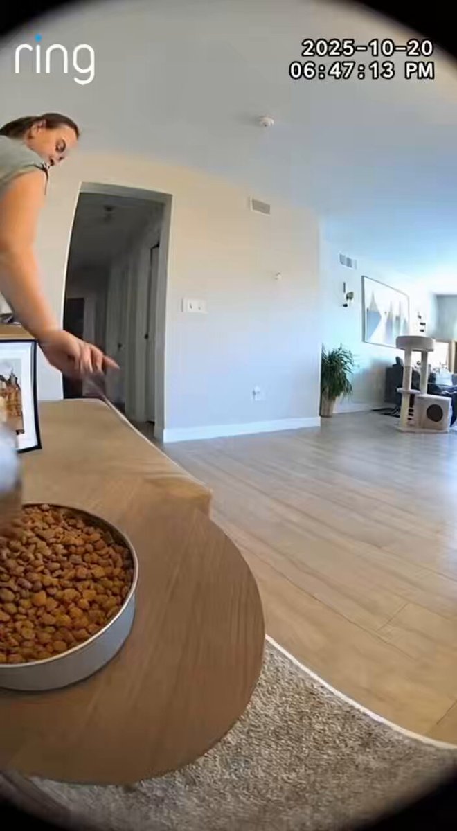 The image shows a woman standing at a dining table with food, specifically a bowl of dog treats or cat food. She appears to be reaching for something on the table while wearing a grey shirt. The room has white walls and wooden floors, creating a cozy atmosphere. A potted plant is located near the center of the scene, adding some greenery to space. There are also two chairs in the room - one close to the woman and another further away from her.