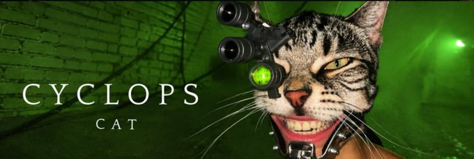 The image is a promotional banner for the "$CYCLOPS CAT" meme token, featuring a fierce-looking tabby cat with a green laser scope mounted over one eye, set against a dark, green-tinted brick tunnel background. The text "CYCLOPS CAT" appears in white serif font on the left side, aligning with the post's pitch of the project as a degen cat meta play emerging from a post-launch dip.