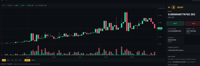 A cryptocurrency trading chart on CoinEx for the ZECAT (ZEC) trading pair showing a candlestick price chart with a balance of 1,313.628988 ZEC and a market cap of 4,877.66 ZEC.
