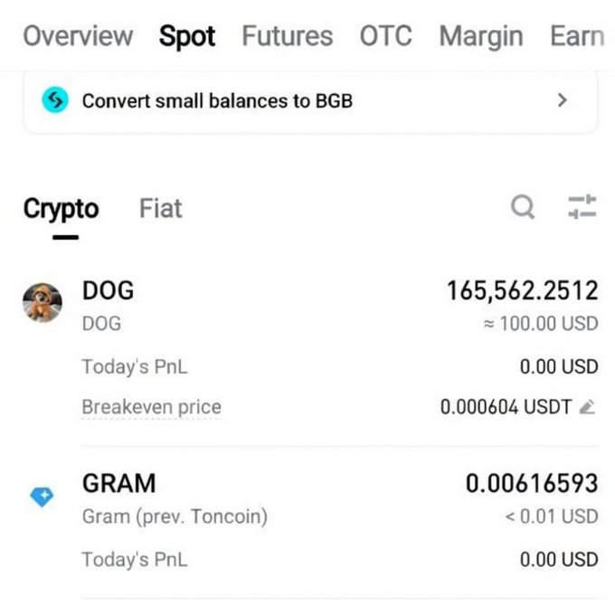 A cryptocurrency exchange interface shows the Spot tab with holdings for DOG (165,562.2512, ≈ 100.00 USD) and GRAM (Gram, prev. Toncoin, 0.00616593, < 0.01 USD).