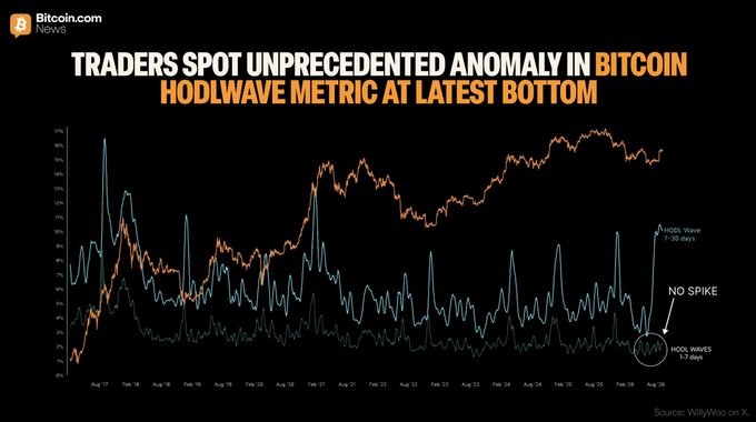 The image, sourced from WillyWoo on X via Bitcoin.com News, displays a multi-line chart of the Bitcoin HODL Wave metric from August 2017 to August 2026, highlighting a "NO SPIKE" annotation at the August '26 bottom, where the 1-2 year HODL wave sits at 2-3 days and HODL waves at 1-7 days—a lack of a typical buying surge that traders like Willy Woo suggest points to a single whale slowly accumulating at the latest bottom.